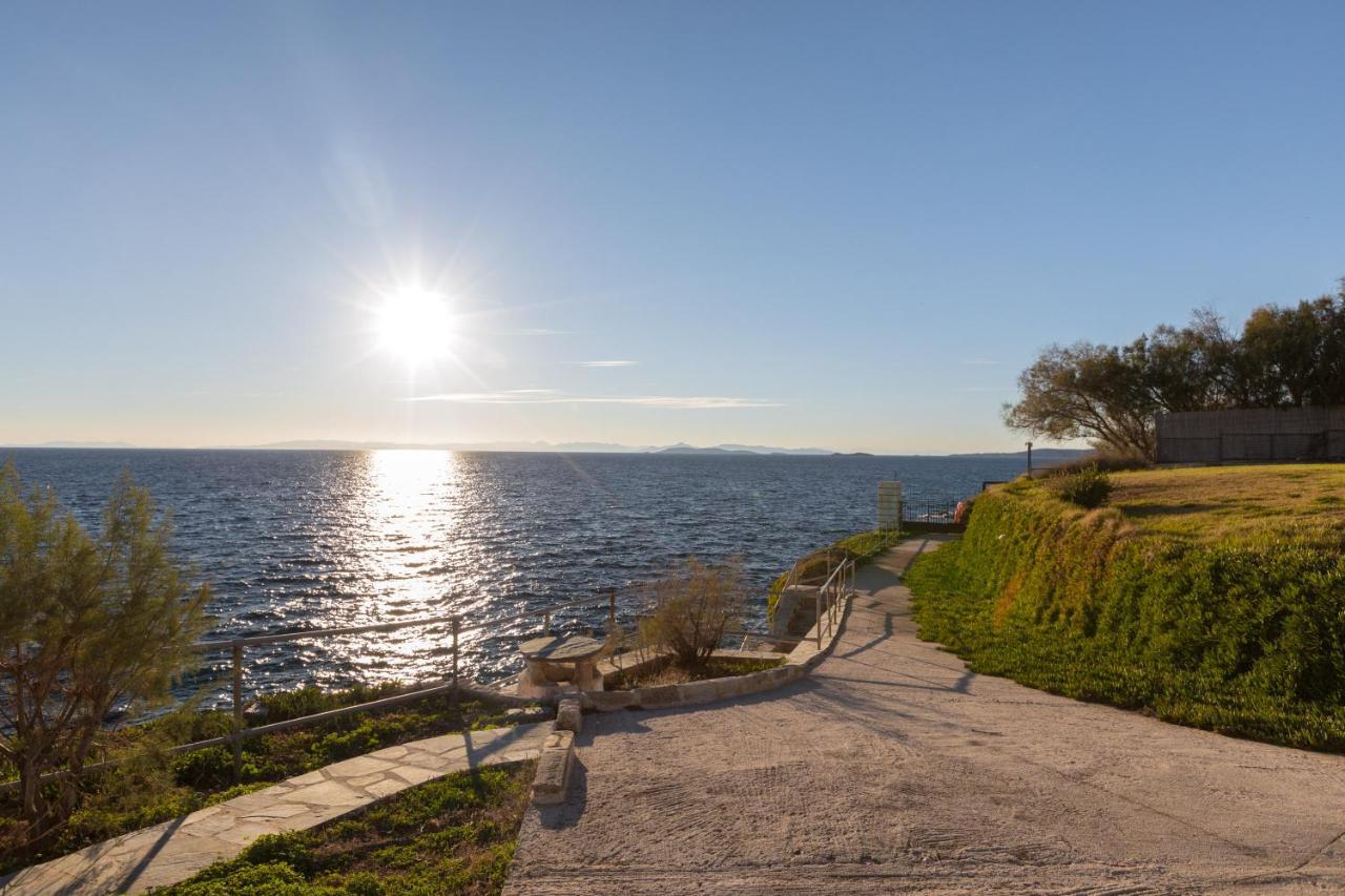 Luxurious Villa Philoxenia ラゴニッシ エクステリア 写真